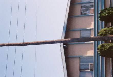 Russian Red_Lourdes_166_thumb