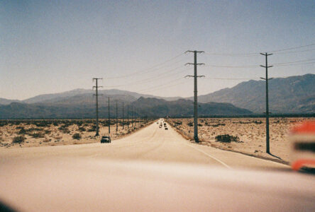 Russian Red_Lourdes_162_thumb