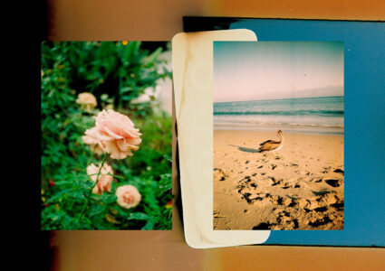 Russian Red_Lourdes_158_thumb