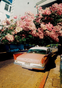 Russian Red_Lourdes_157_thumb