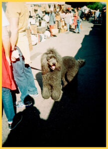 Russian Red_Lourdes_156_thumb