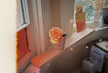 Russian Red_Lourdes_149_thumb