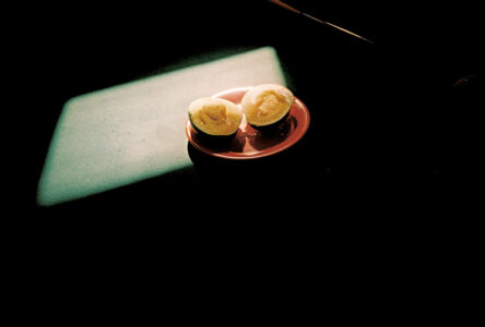 Russian Red_Lourdes_146_thumb