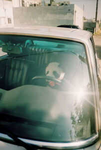 Russian Red_Lourdes_144_thumb