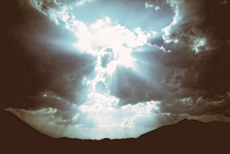 Russian Red_Lourdes_140_thumb