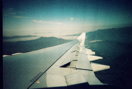 Russian Red_Lourdes_138_thumb