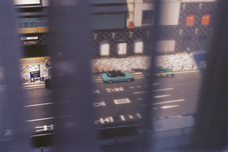 Russian Red_Lourdes_128_thumb