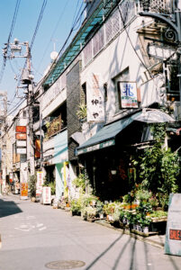 Russian Red_Lourdes_125_thumb