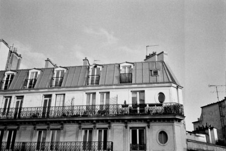 Russian Red_Lourdes_121_thumb