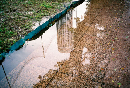 Russian Red_Lourdes_116_thumb