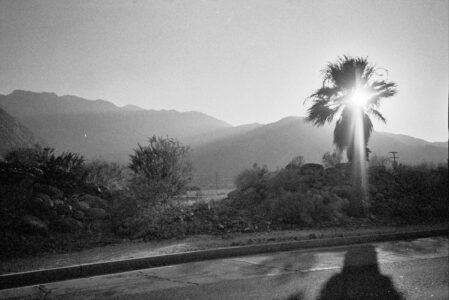 Russian Red_Lourdes_95_thumb