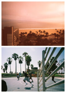 Russian Red_Lourdes_90_thumb