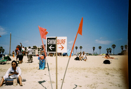 Russian Red_Lourdes_87_thumb