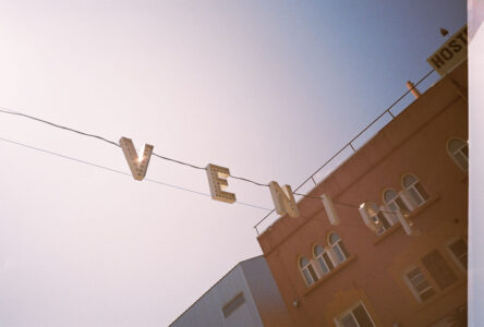 Russian Red_Lourdes_86_thumb