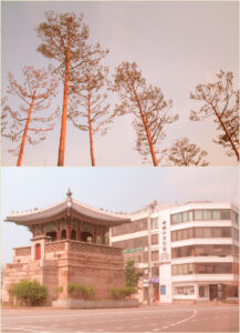 Russian Red_Lourdes_77_thumb