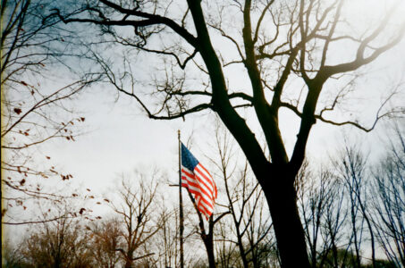 Russian Red_Lourdes_59_thumb