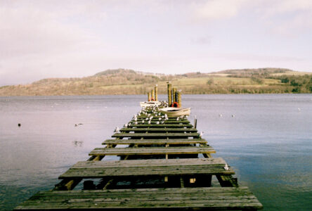 Russian Red_Lourdes_49_thumb