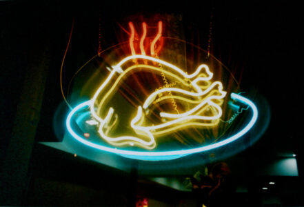 Russian Red_Lourdes_12_thumb