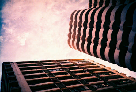 Russian Red_Lourdes_8_thumb