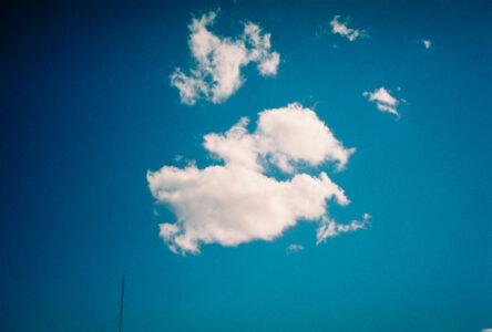 Russian Red_Lourdes_4_thumb