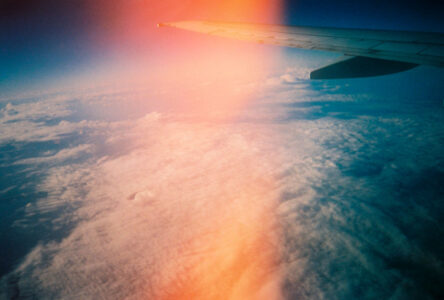 Russian Red_Lourdes_44_thumb