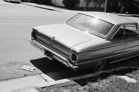 Russian Red_Lourdes_19_thumb