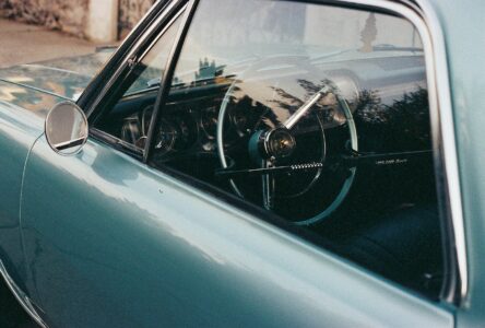 Russian Red_Lourdes_114_thumb